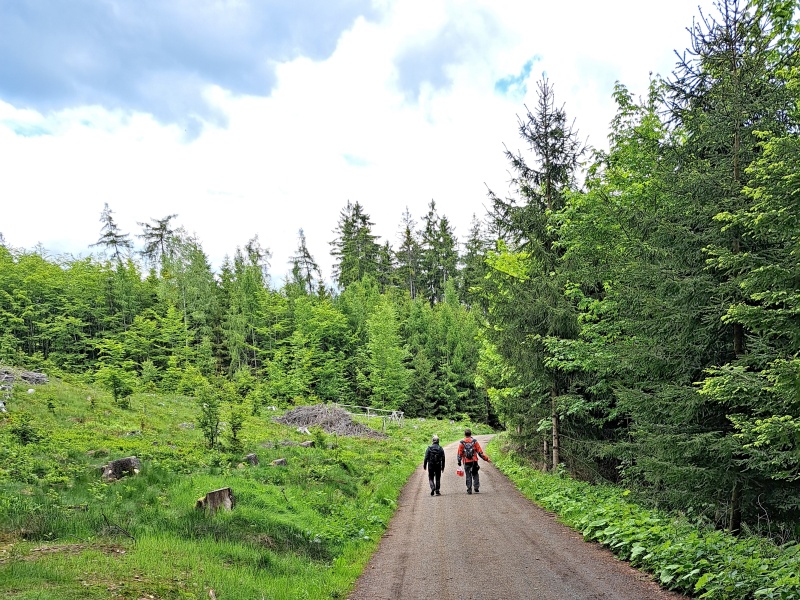 17_SESTUP SMĚR LIBEREC..