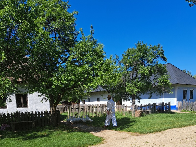50_SKANZEN STRÁŽNICE USEDLOSTI