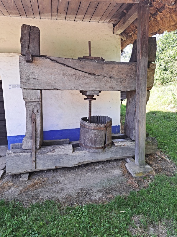 52_SKANZEN LIS NA VÍNO
