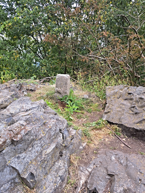 10_0_VRCHOL BORNÝ