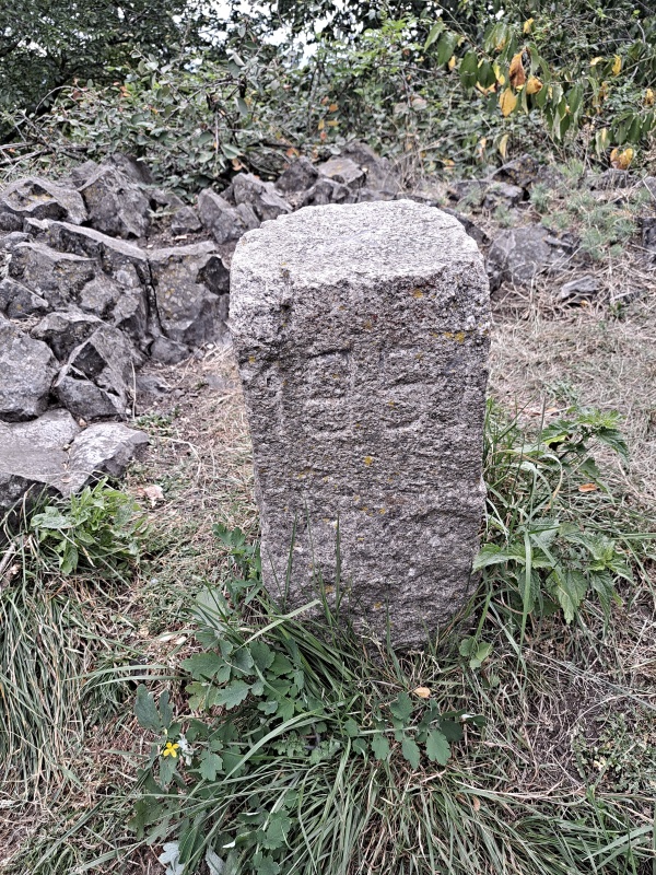 10_1_VRCHOL BORNÝ