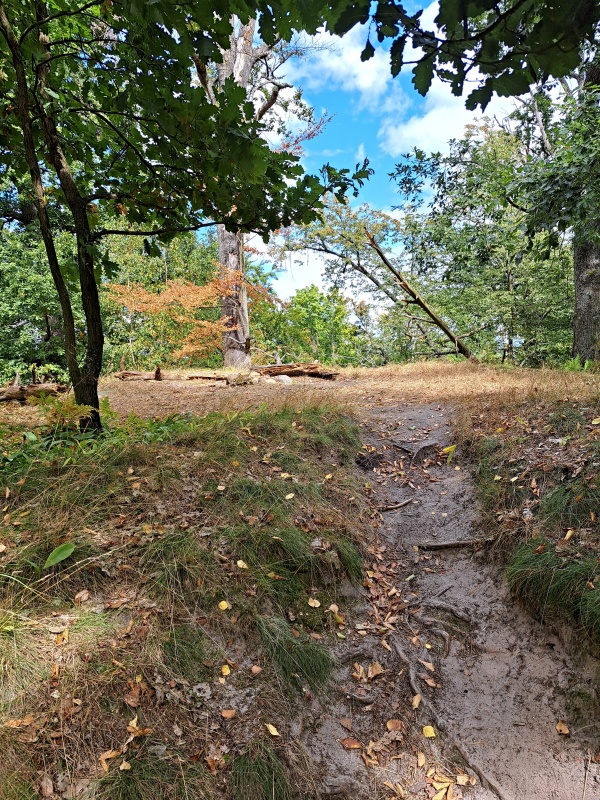 13_1_VRCHOL ŠROUBENÝ