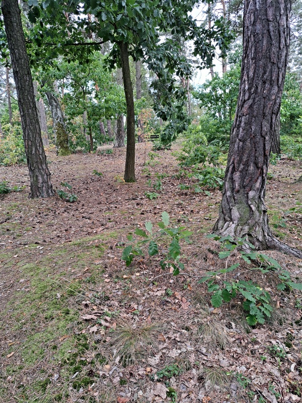 15_VRCHOL DROŽEŇ