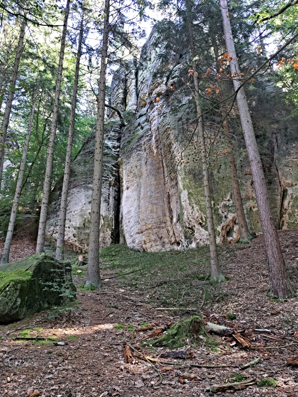 14_ZÁLESÁCKÁ VĚŽ