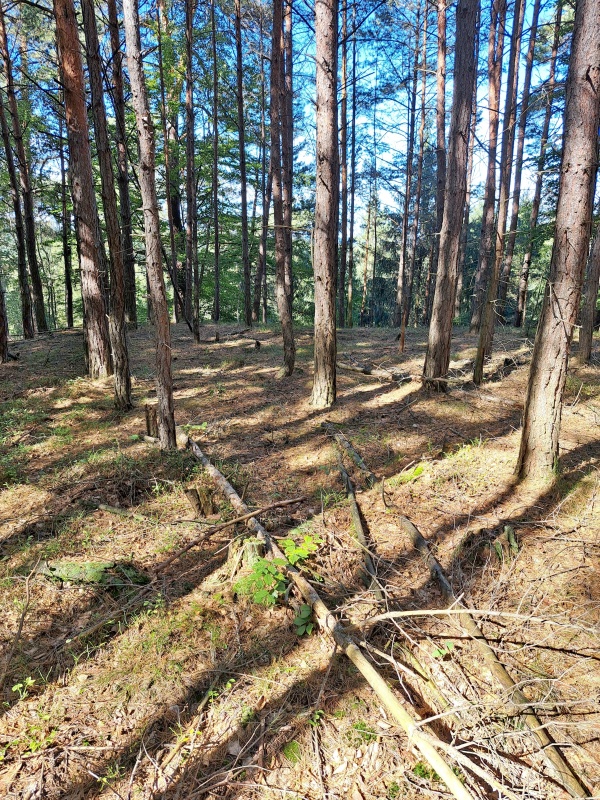17_VRCHOL V KOPANINÁCH_337 M.N.M.