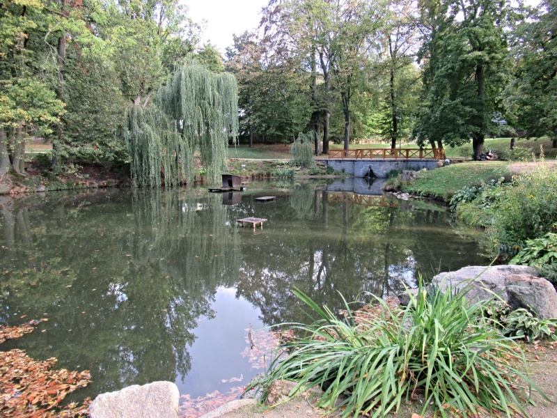 5.V PARKU